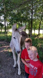 Carter and Caden with Festus